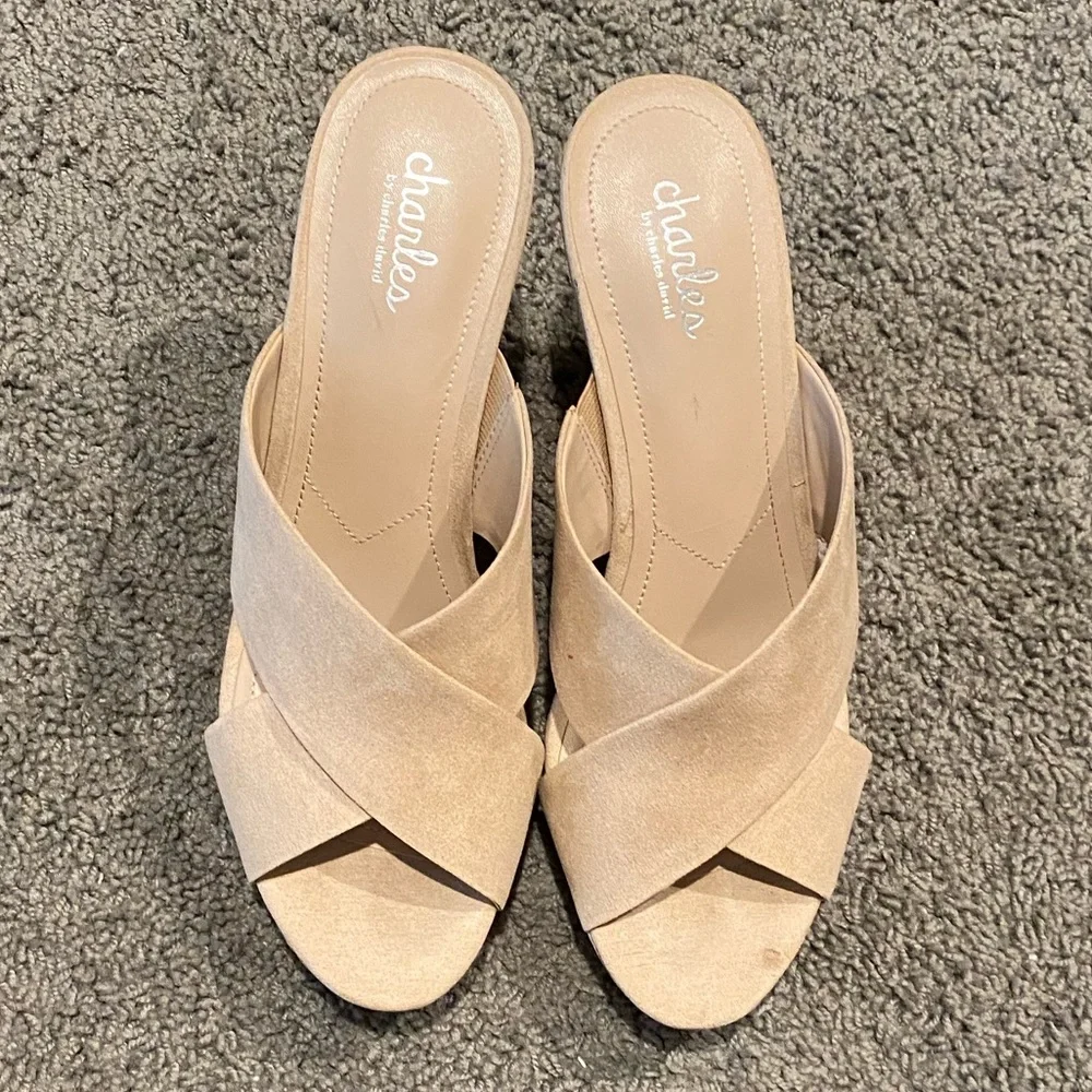 Charles David suede wedges